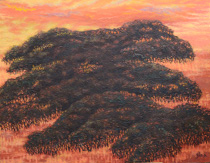 油絵「南の大地・マングローブ群」の写真