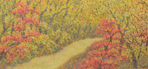 油絵「ブナの林道」の写真
